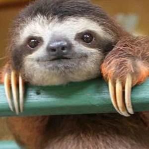 Meet your Posher, Adria